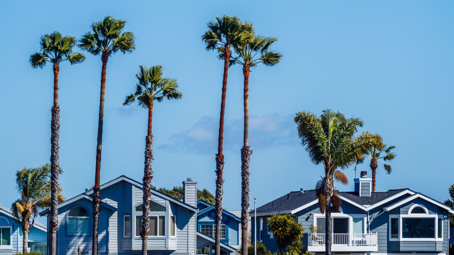 Homes and palm trees in a coastal North County San Diego neighborhood